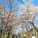 북산역사공원 이미지