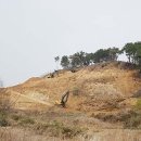 준 태양광발전소 이미지