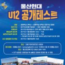 울산현대축구단 U12 공개테스트 & 선수모집 이미지