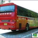 동천여행사 이미지