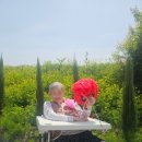 산책하는요양원 이미지