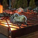 비렁길굴등민박 | 11/24 6시 내고향 경남 사천 굴구이 맛집｜숙박까지 가능한 순애민박굴구이식당 정보 총정리!