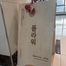 [마곡 폴댄스] 크리스마스 이브의 폴라워 수강후기
