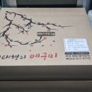 세종참치맛집 어진동 정부청사 일식 맛집 메구미