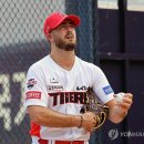 스타우트 이미지