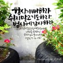 멋글씨 캘리그라피 이미지