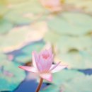 로뎀국제 행정사사무소 이미지