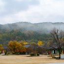 화초구농장 네이버블로그