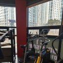 프로라이프짐 이미지