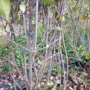 김복수농장 이미지