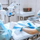 서울앤 동물병원 이미지