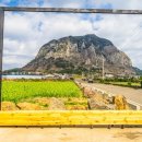 루시드엠 이미지