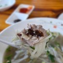 베트남쌀국수 티스토리