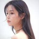 하이어랭크 데일리한국