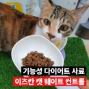 이즈칸 고양이 사료, 기호성 좋은 기능성 사료 후기