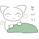 가인투어 이미지