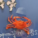 싱싱한삼촌 | [수영] 수영 해산물 맛집 찾는다면? 현지인만 알던 남해삼촌 해물모둠 후기