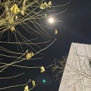 서재동물병원 | 동그미의 2025년 연말정산