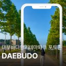 길바이크 | 대부도 바다향기테마파크 메타세콰이어 숲길 다녀온 후기｜주차, 전동바이크 대여, 여름 방문 팁