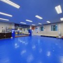 용인대 청용 태권도장 이미지