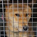 목포용호초등학교 이미지