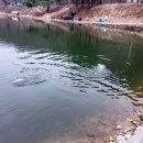 취병낚시터 이미지