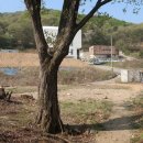 광교산 체육공원 이미지