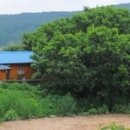 옻나무산약초민박 이미지