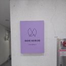 전풍인삼 이미지