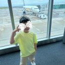 안성해정관광여행사 | 장난꾸러기 아들과 함께한 일본 기타규슈 2박 3일 여행기