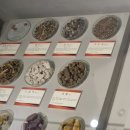 대구약령시한의약박물관 | 대구 가볼만한곳(약령시한의약박물관)