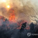 진화목장 연합뉴스