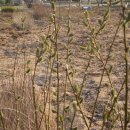 꽃향기어린이집 이미지