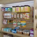 베스애견 이미지