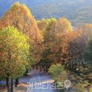 관악산 네이버블로그
