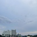 단오약국 이미지