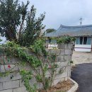 답동민박 네이버블로그