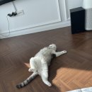 행복보일러