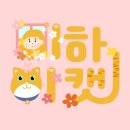 힐링페츠 | [대전 페츠라이프 유기동물 봉사] 아로하 고양이청년 봉사단(미히캣다이어리,2022,5)