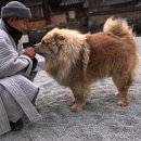 차오차오 - 안양시 만안구 삼덕로6번길 29 | 차오차오