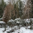 장흥 달바위펜션 이미지