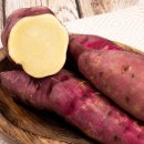 까치농장 이미지