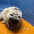 [잡문]쓰말읽