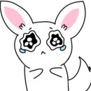 카페 온당 이미지