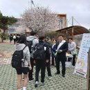 영암교육지원청 이미지