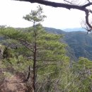 하늘의 풍악에 춤추었다는 동악산(動樂山 735m)그리고 까칠한 최악산(초악산 焦鳥 岳山732m) --전남곡성 이미지