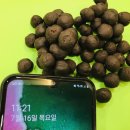 장성한의원 이미지