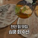 두정대림아크로텔 | 천안 두정동 맛집 심쿵회수산, 도다리회 광어회 매운탕까지 먹어봤어요