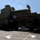 두영농장 Daum카페