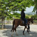 기형목장 이미지